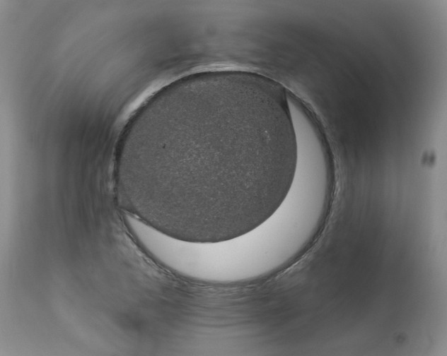 X0000113571173200910021622