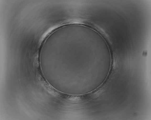 X0000113571174200910021622
