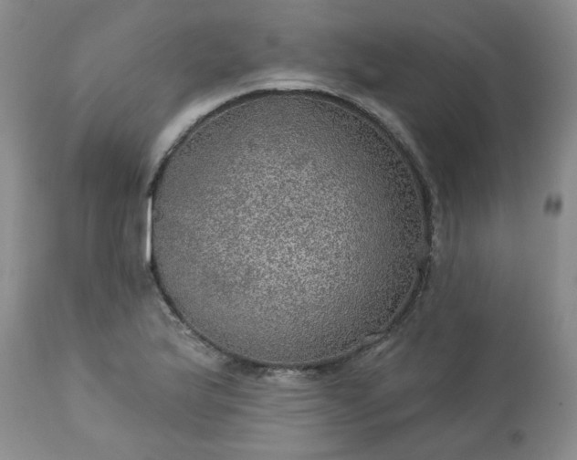 X0000113571175200910021622