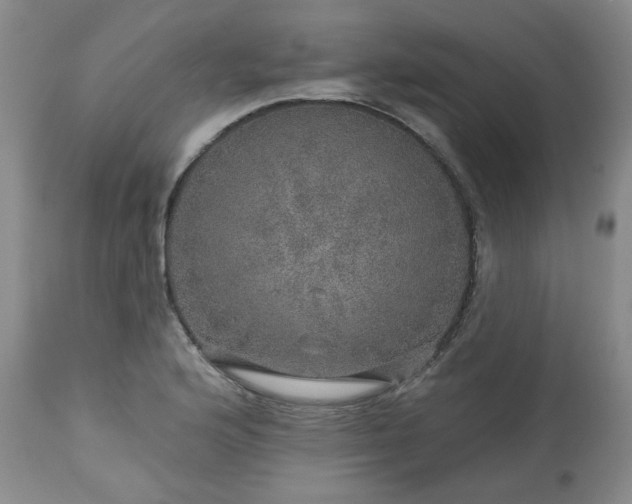 X0000113571176200910021622