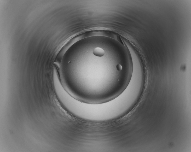 X0000113571177200910021622