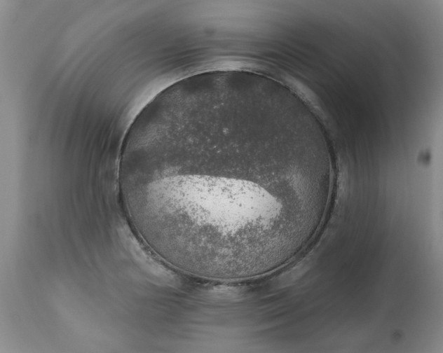 X0000113571178200910021622