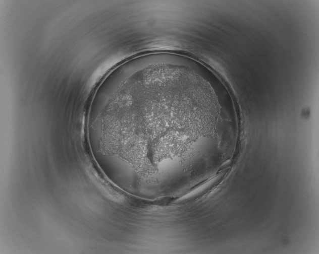 X0000113571179200910021622