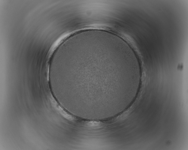 X0000113571180200910021622