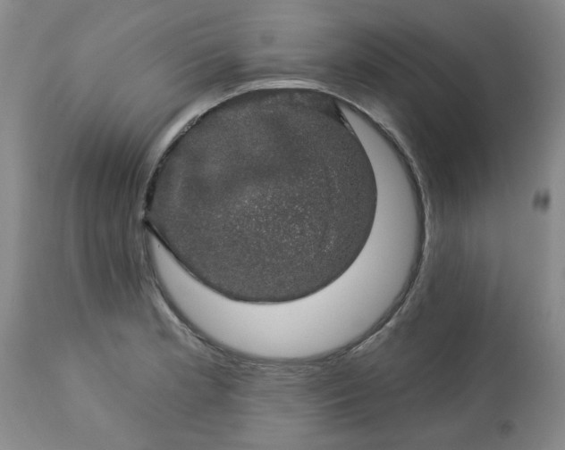 X0000113571181200910021622