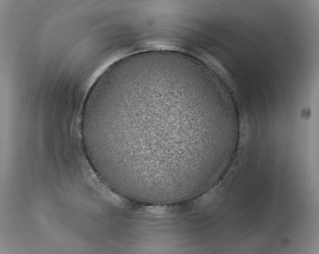 X0000113571182200910021622