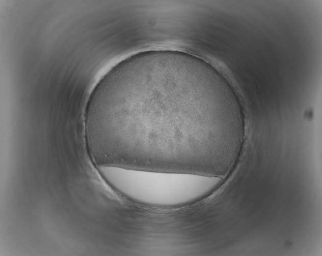 X0000113571184200910021622