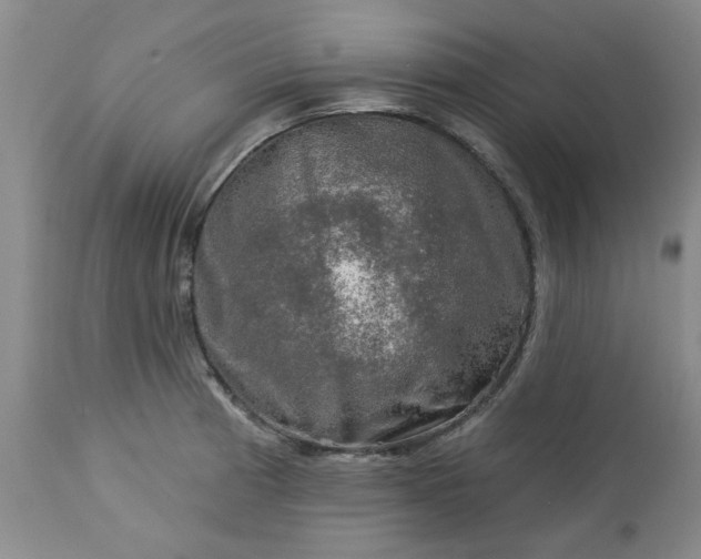 X0000113571185200910021622