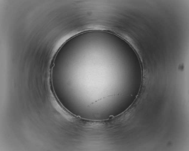 X0000113571187200910021622