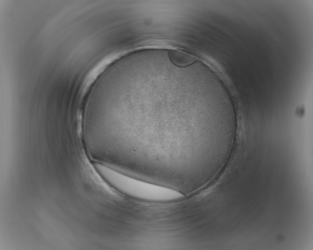 X0000113571188200910021622