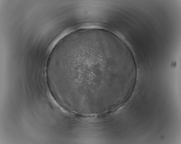 X0000113571189200910021622