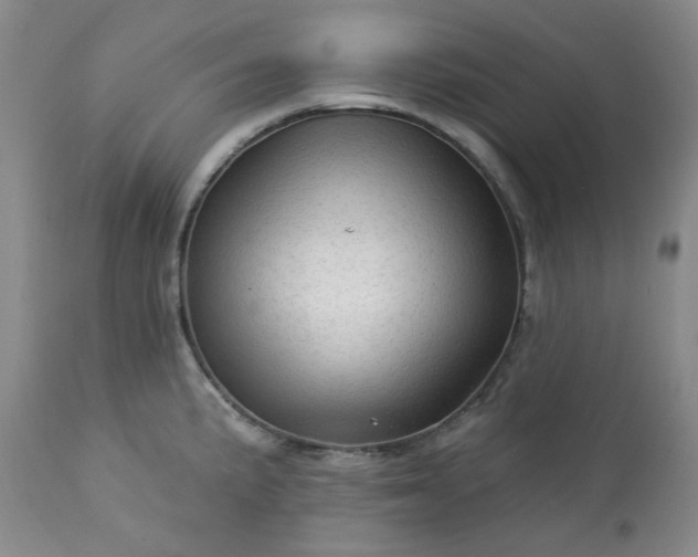 X0000113571191200910021622