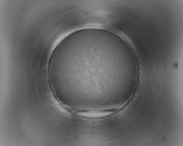 X0000113571192200910021622
