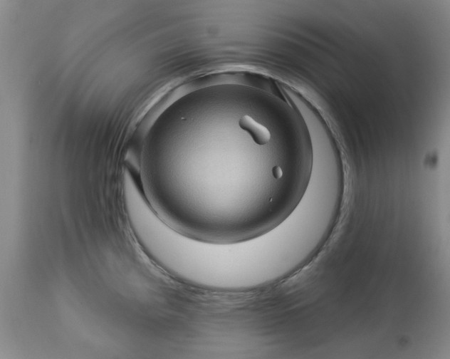 X0000113571193200910021622