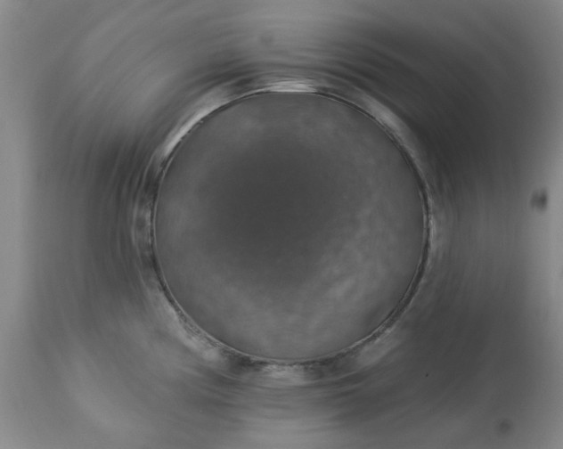 X0000113571194200910021622