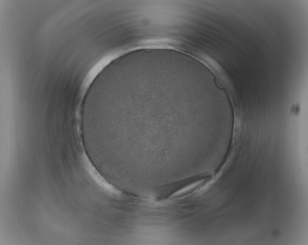 X0000113571196200910021622