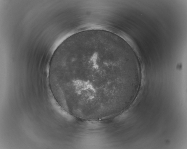 X0000113571198200910021622