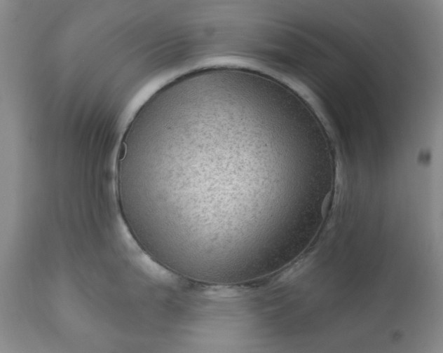 X0000113571199200910021622