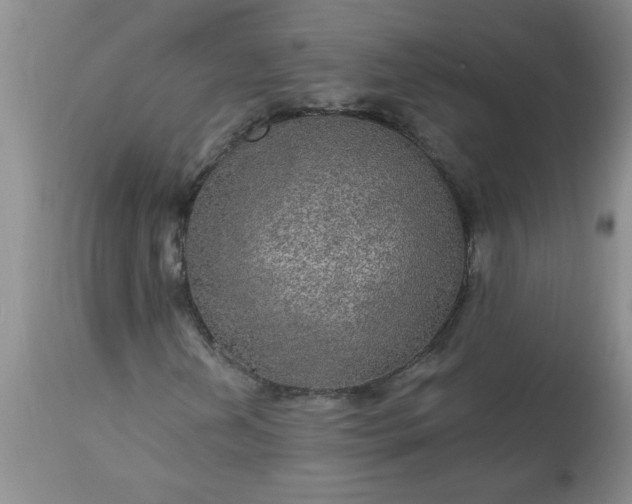 X0000113571202200910021621