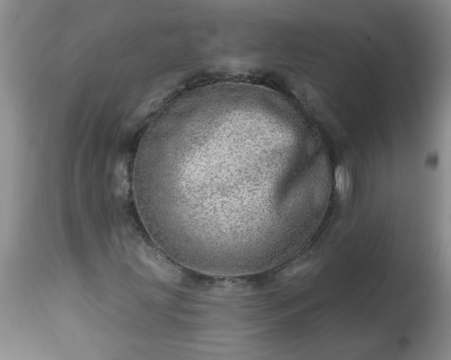 X0000113571203200910021621