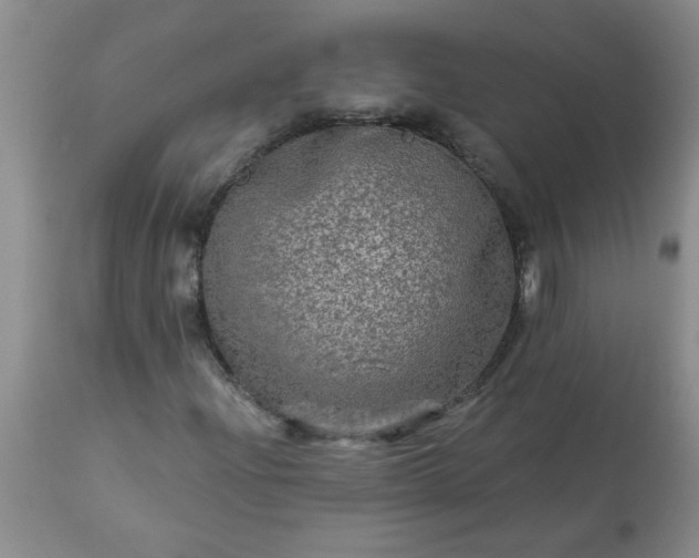 X0000113571204200910021621