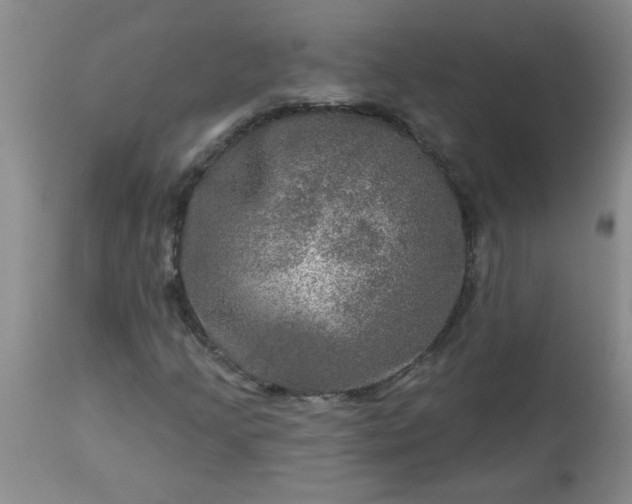 X0000113571205200910021621