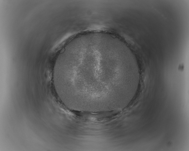 X0000113571206200910021621