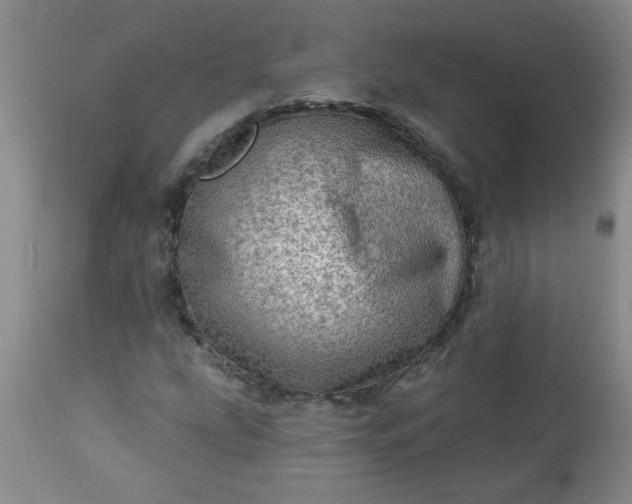 X0000113571207200910021621