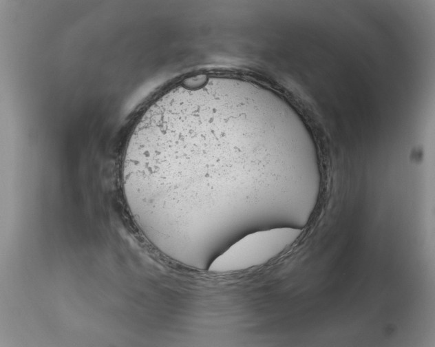 X0000113571208200910021621