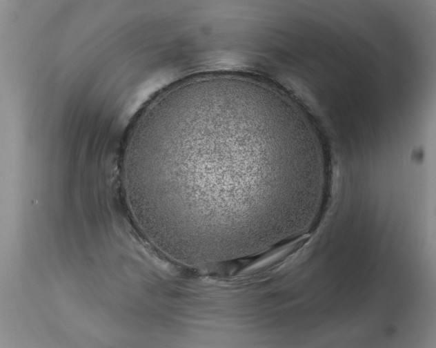 X0000113571210200910021621