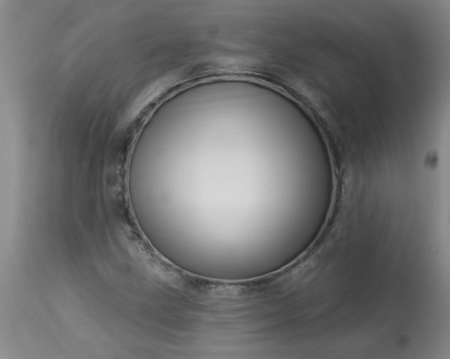 X0000113571211200910021621