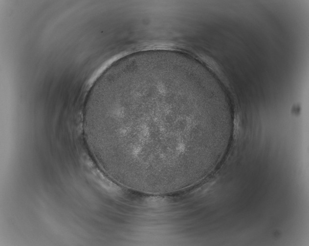 X0000113571212200910021621