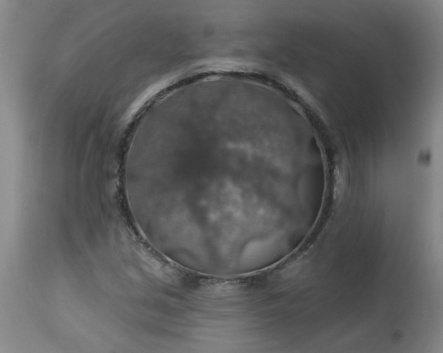 X0000113571213200910021621