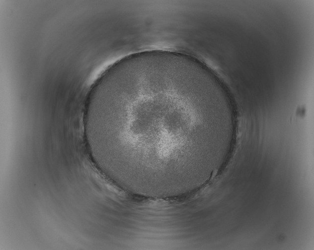 X0000113571214200910021621