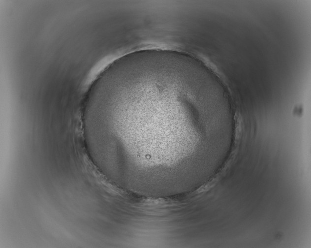 X0000113571215200910021621