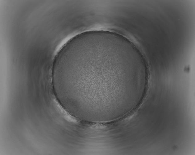 X0000113571216200910021622