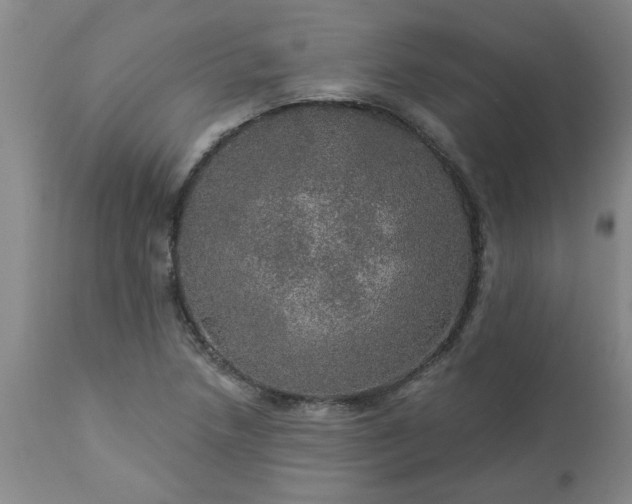 X0000113571218200910021622
