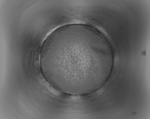 X0000113571220200910021622
