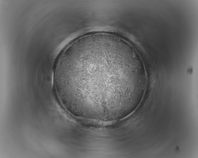 X0000113571221200910021622