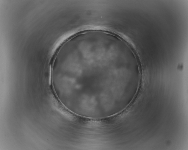 X0000113571223200910021622