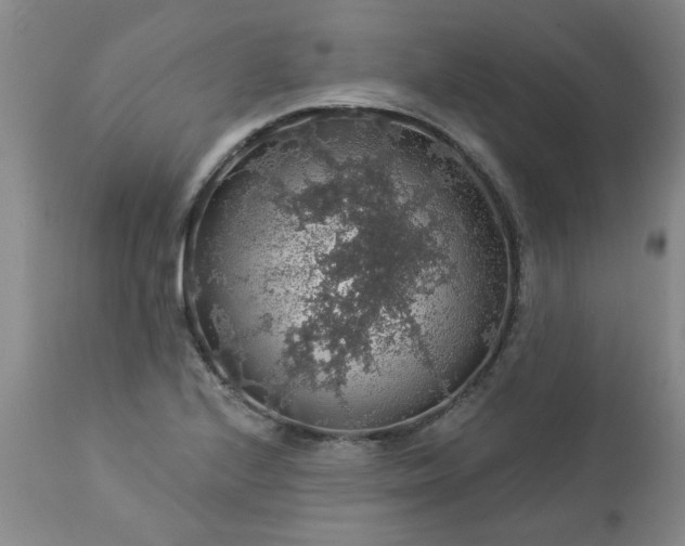 X0000113571224200910021622