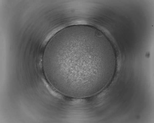 X0000113571225200910021622
