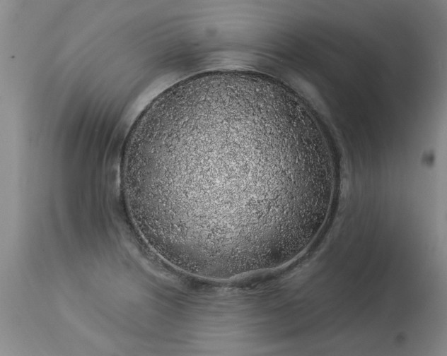 X0000113571226200910021622