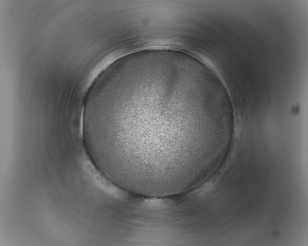 X0000113571227200910021622