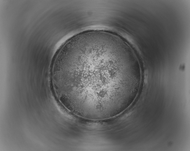 X0000113571229200910021622