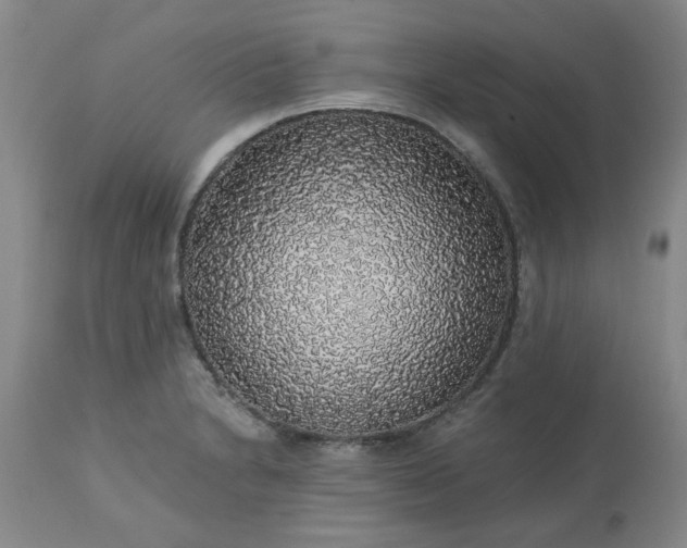 X0000113571230200910021622