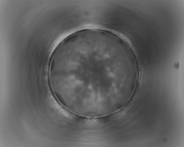 X0000113571231200910021622