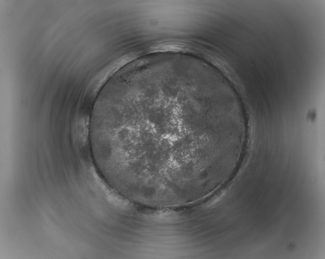 X0000113571233200910021622