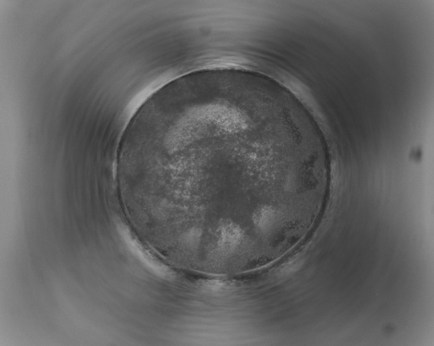 X0000113571234200910021622