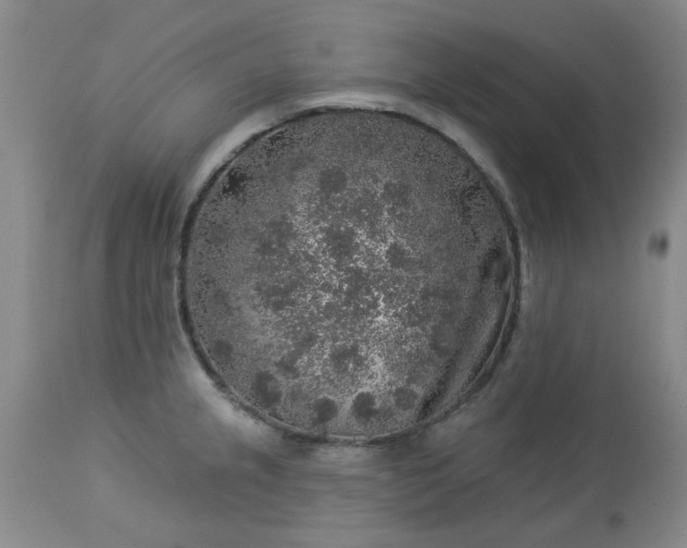 X0000113571237200910021622
